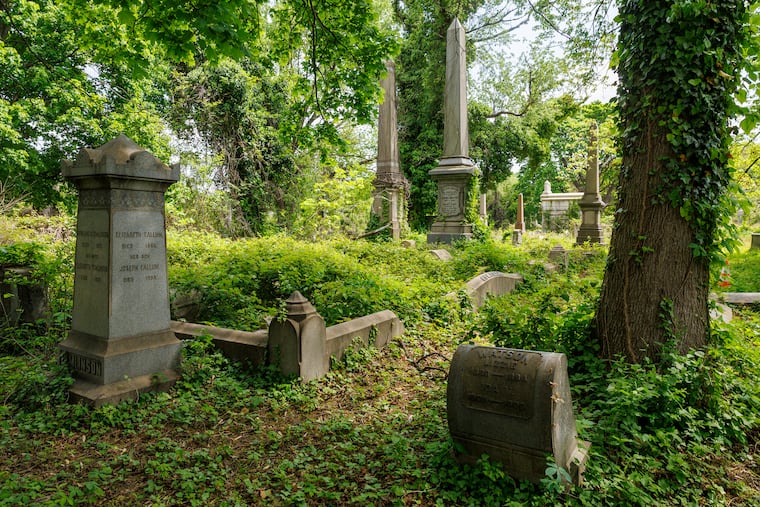 Mount Vernon Cemetery in North Philadelphia is about to go from being overrun by green vegetation to becoming a green cemetery. 