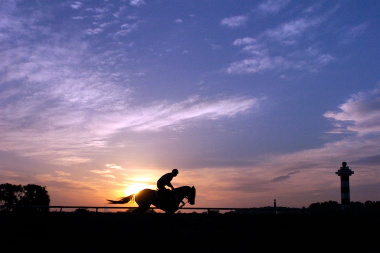 Smarty Jones gallops at dawn with Pete VanTrump guiding him at Philadelphia Park on Tuesday, May 25, 2004.