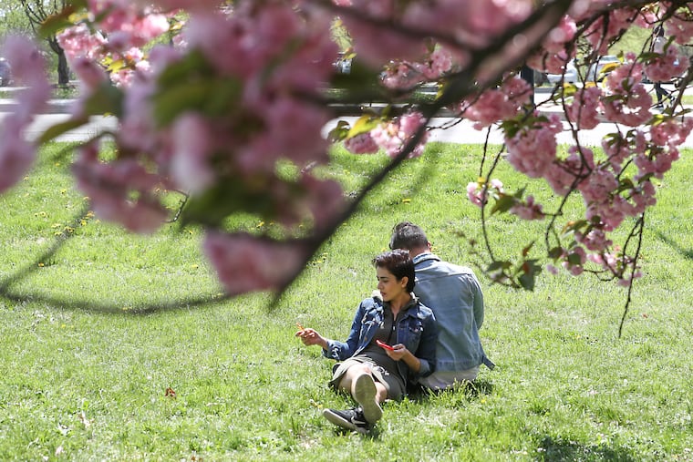 Akansha Sareen, left, and Vikram Patnaik rest underneath the cherry blossom trees behind the Please Touch Museum in spring 2023.