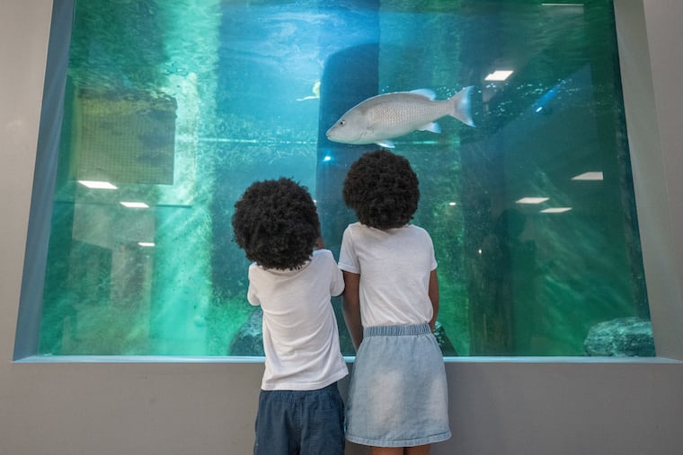 (Left to Right) Matthew and Jayah Watts at the Atlantic City Aquarium, in Atlantic City, NJ, June 3, 2025.